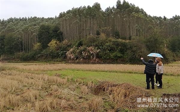 防城港市陈老师带着爱徒寻龙点穴